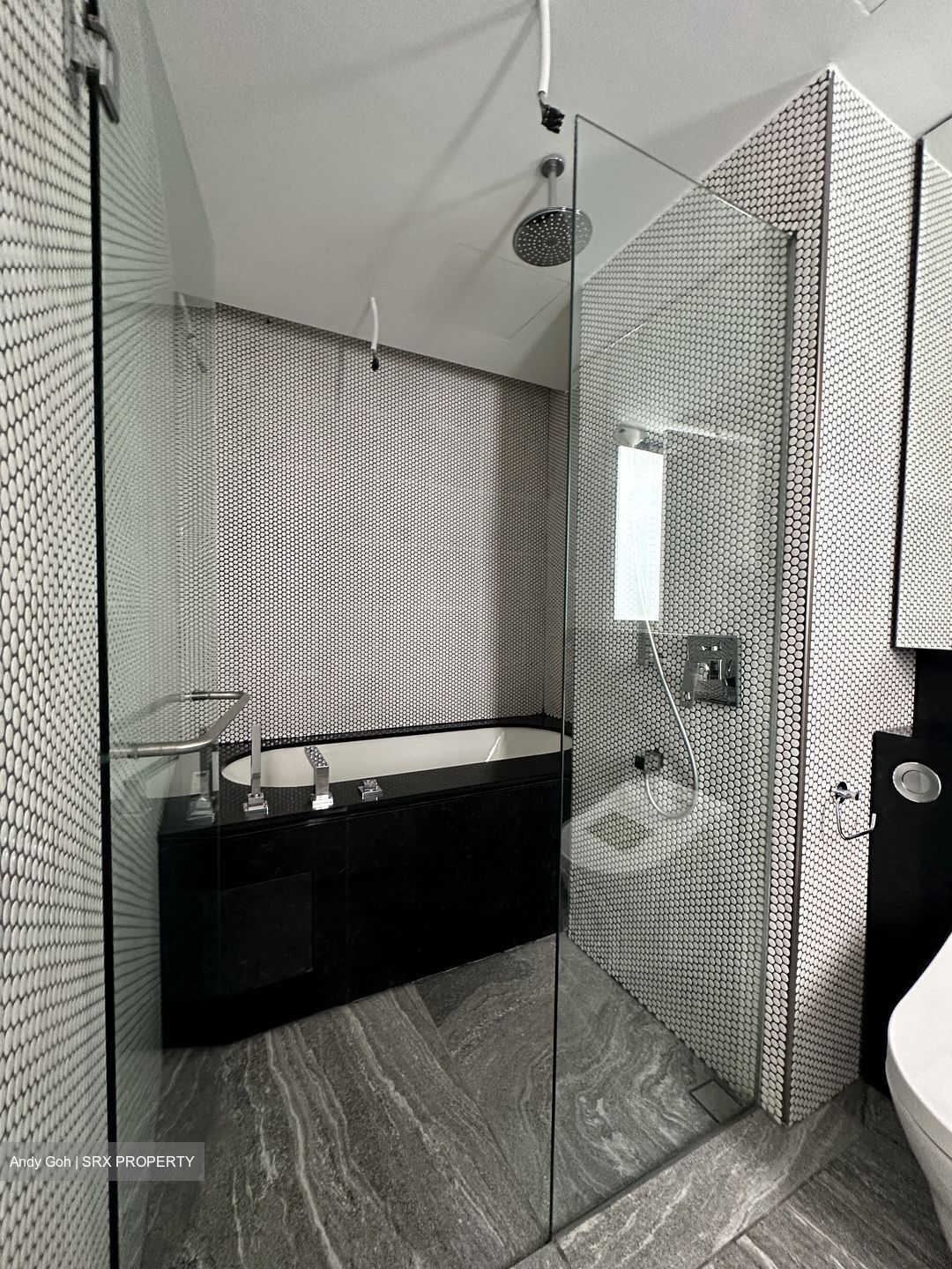 10 Evelyn (D11), Apartment #559904351